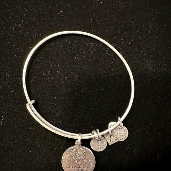 Alex and Ani - Create Peace of Mind - Wire Bracelet - Picture 2 of 2